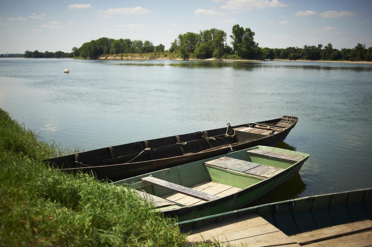 Auberge De La Loire Montjean-sur-Loire ภายนอก รูปภาพ